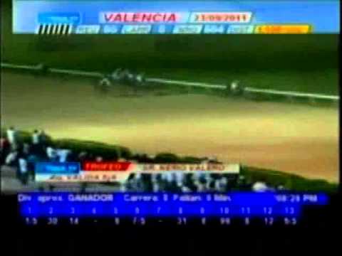 Resumen Viernes, 23 de Septiembre de 2011 - Valencia