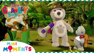 Charley Discovers Dinosaurs 🦖 | Little Charley Bear | Full Episodes | Mini Moments