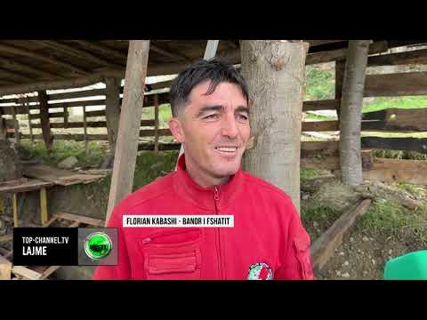 Top Channel/ Betlehemi i gjallë/ Rituali i famullisë së Hajmel në Vaun e Dejës