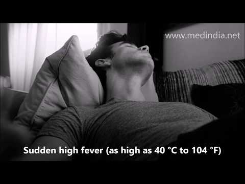 Dengue and Dengue Fever - Symptoms, Causes, Diagnosis, Treatment & Prevention