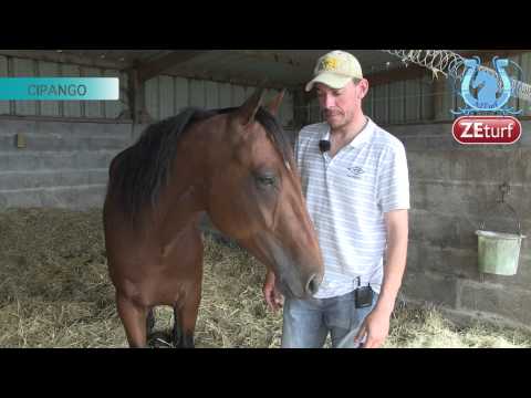 Tour De Cour chez Nicolas RAIMBEAUX - A2TURF.COM