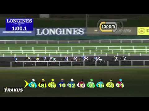 18.01.2014 Meydan (Dubai-UAE) 6.Race Friday - Handicap 1.900 m