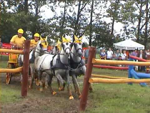 TURBO GERHARD Gerich-Vierspänner