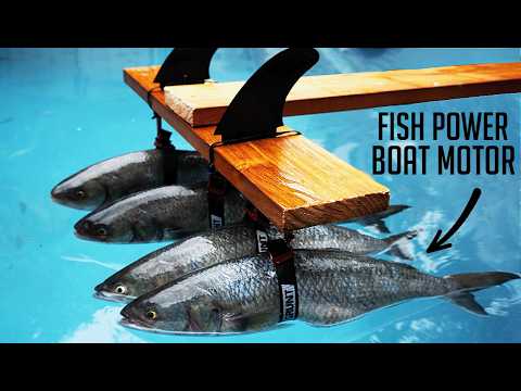 How many fish does it take to pull my boat?