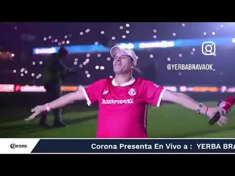 YERBA BRAVA LA CUMBIA DE LOS TRAPOS - ESTADIO NEMESIO DIEZ (Toluca)