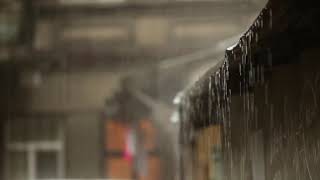 30 minutos de chuva suave noturna, sons de chuva para um sono relaxante, insônia, meditação, estudo