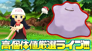 【ポケモンBDSP】高個体値メタモンをまったり厳選する男【ポケトレ】