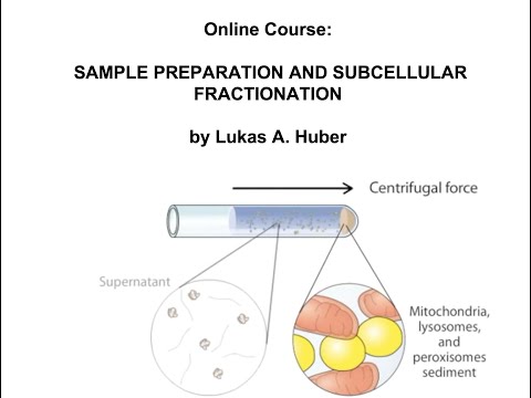 Course on subcellular fractionation, 301665 SE+UE, University of Vienna, SS 2022