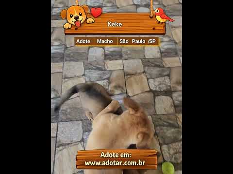 Vídeo de Keke