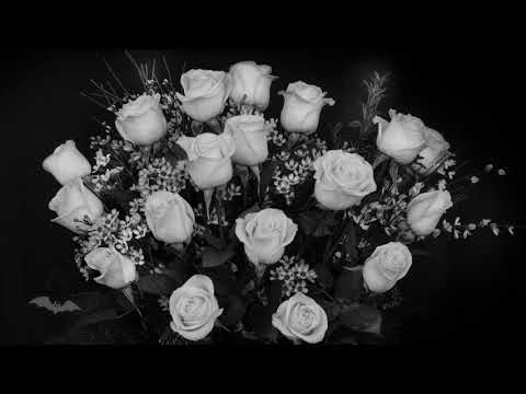 Clan Of Xymox - Jasmine And Rose