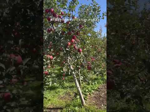 これが、すぐに果樹にホイルを被せるべき理由です。  庭園