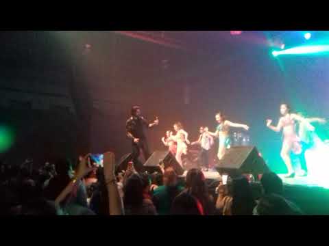 Chico Che Chico en Vivo - Las Pelotas