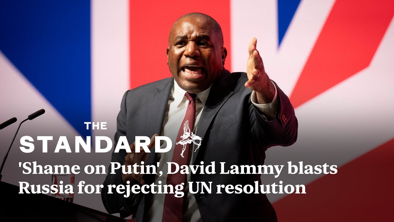 'Shame on Putin!' David Lammy blasts Russia for rejecting UN resolution