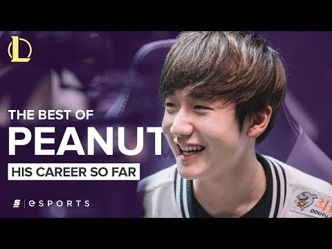 The Best of Peanut (2016 - 2017)