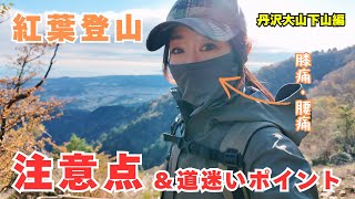 【紅葉】超初心者向け★丹沢大山歩き方解説後編/エピソード #登山 #丹沢大山 #紅葉 #低山登山