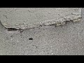 Ants Getting Under the Column in Edison, NJ