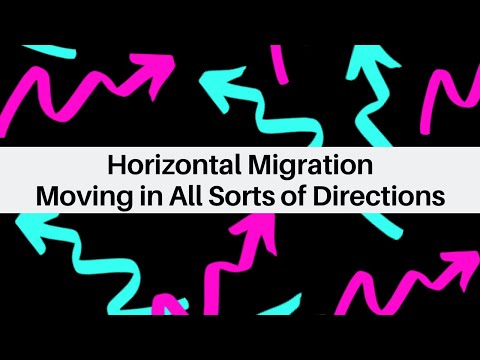 Horizontal Migration Continues & Deployment of a Bait Cup