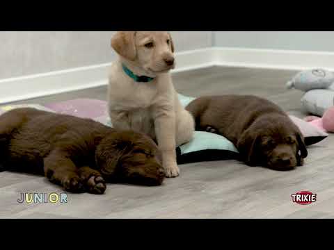 Миниатюра изображения товара Игрушка для животных Trixie Кость охлаждающая Junior / 33340