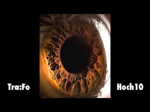 DnB-Mix by Tra:Fo : Noisia, Calyx & Teebee, Xtrah, Dose, Break, Octane & DLR, Ulterior Motive ...