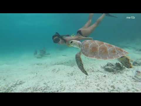 Daniel Kandi & Ferry Tayle - Flying Blue (Music video fan)