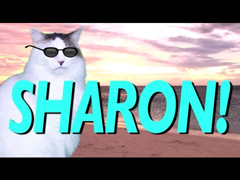 HAPPY BIRTHDAY SHARON! - EPIC CAT Happy Birthday Song