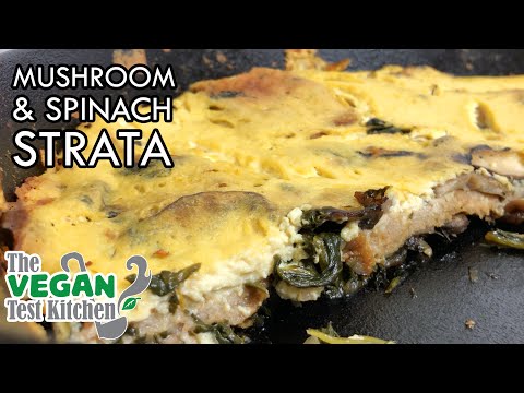 download lagu mp3 mp4 Vegan Strata Recipe, download lagu Vegan Strata Recipe gratis, unduh video klip Vegan Strata Recipe