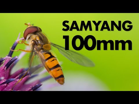 Video thumbnail for Samyang 100mm F2.8 Macro review 1