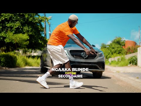 Ngaaka Blinde - Effect Secondaire (clip officiel)