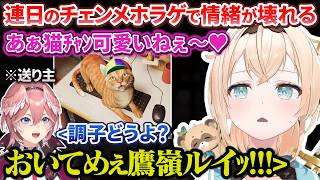 連日チェンメホラゲーで愉悦され情緒が壊れてくるござるさん【風真いろは / 鷹嶺ルイ / ホロライブ切り抜き / holoX】
