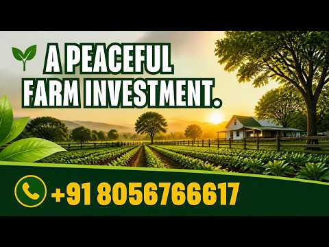 YouTube Video Tour - 5.8 Acres Sugarcane & Paddy Cultivation Land with Canal Irrigation Rights, Viriyur Belt