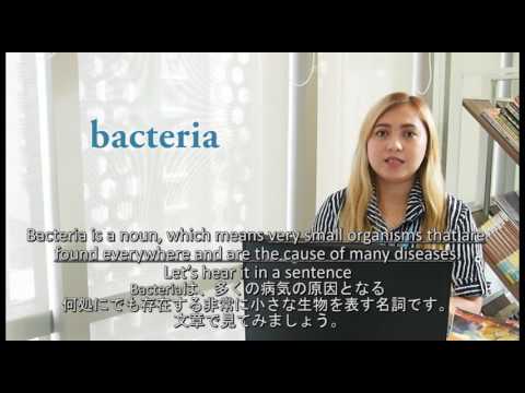 Medical Vocabulary 19 - Bacteria (メディカルイングリッシュ19 －細菌)