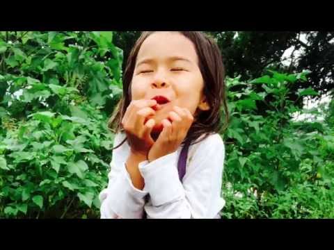 download lagu mp3 mp4 Sustainable Popsicle Molds, download lagu Sustainable Popsicle Molds gratis, unduh video klip Sustainable Popsicle Molds