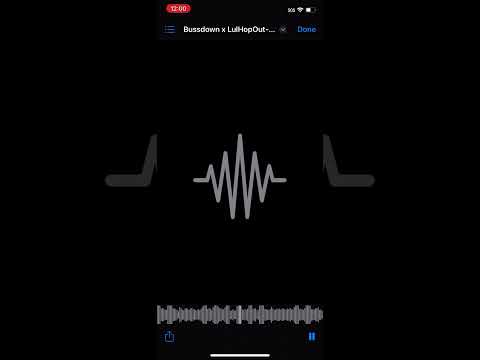 Bussdown & LulHopOut