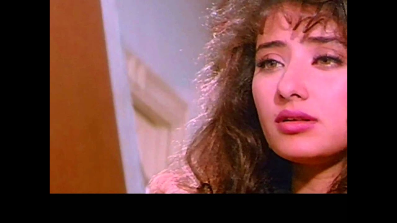 Hum Do Panchhi Lyrics  | Guddu | Shahrukh Khan, Manisha Koirala | Devaki Pandit, Kumar Sanu | Naushad Ali