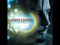 Chris Cornell - Preaching The End Of The World