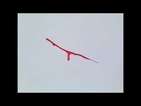 Kurama vs Karasu AMV (CGDS re-upload)