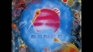 The Lightning Seeds - Sense