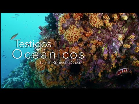 Testigos Oceánicos: Isla Robinson Crusoe