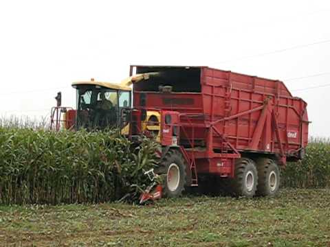 ENSILAGE MAIS CHEZ DESIMPEL FRANCIS SUR MACHINE DEWULF