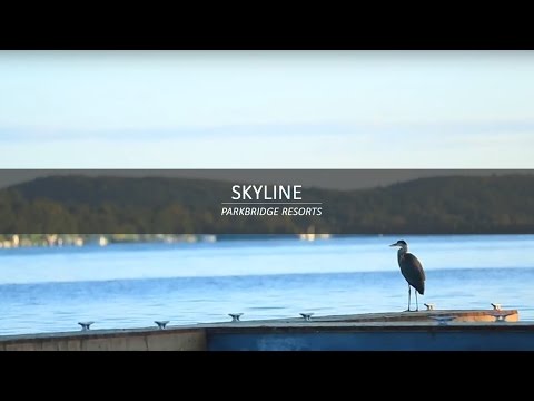 Gallery Video