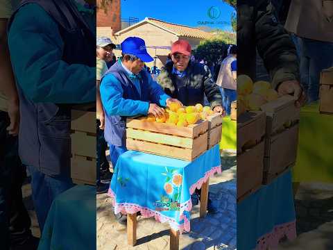 Culpina: Durazno en la Fexposur Sajlina 2026