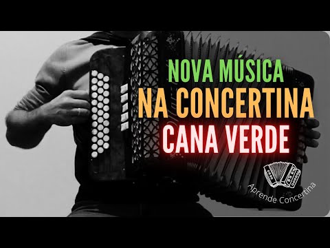Cana Verde na Concertina | Música Tradicional Portuguesa Aprender a Tocar esta música vê a descrição