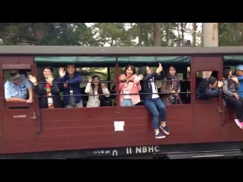 Puffing Billy Melbourne