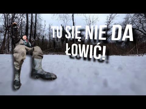 THE ICE WAS BREAKING UNDER OUR FEET… @CinasOG