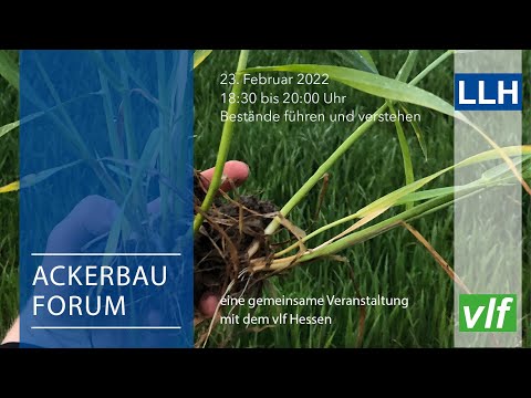 Digitales LLH Ackerbauforum: Bestände führen und verstehen