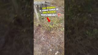 Download lagu Unexpected❗Lots Of Hidden Jackpots In These Bushes🫡✌️😳 #shorts #shortviral #viralshorts mp3
