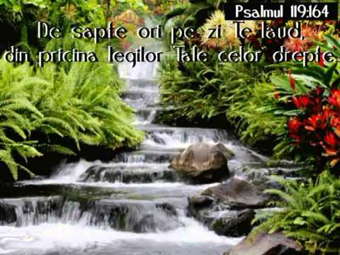 TU DIN VÄNTURI FACI SOLII.