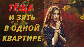 ЗЯТЬ И ТЁЩА - НЕОЖИДАННАЯ ВСТРЕЧА. Интересные истории про тещу. Жизненные истории. Аудио рассказ