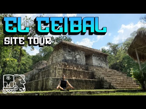 MAYA city in a very dense jungle. Site tour of EL CEIBAL.