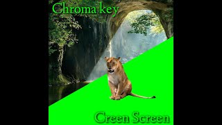 Download lagu Green screen lion || green screen singa mp3